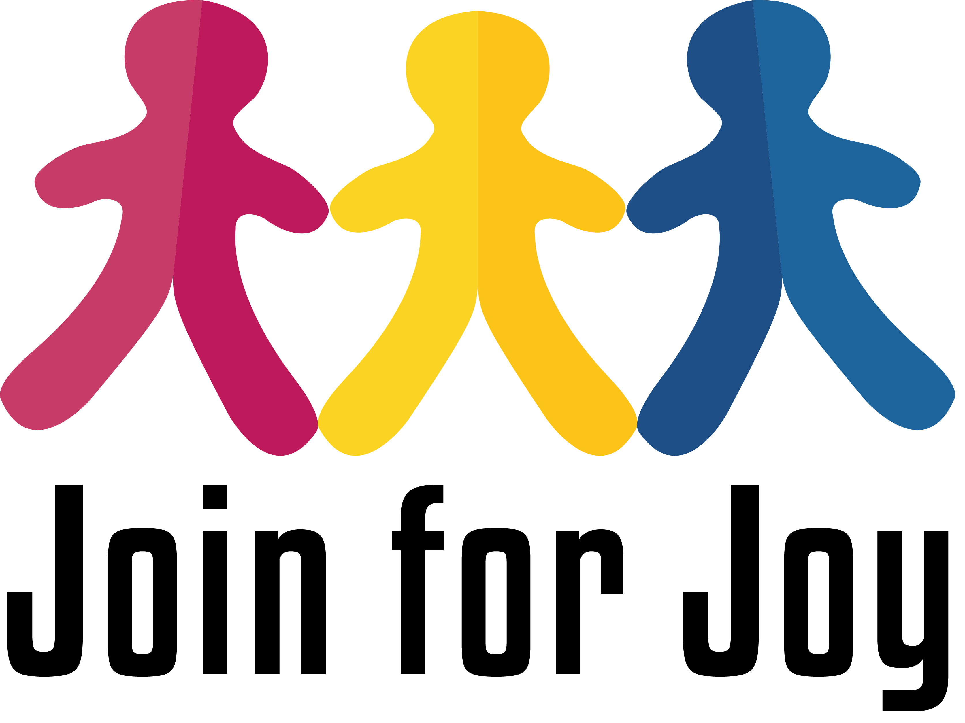 Logo Join for Joy - Finance & Control specialisten BAS Consultancy