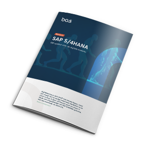 mockup-sap-s4hana-001